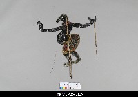 藏品(泰國小檯皮影戲偶)的圖片